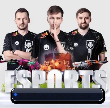platform-aisports.com.cn APP